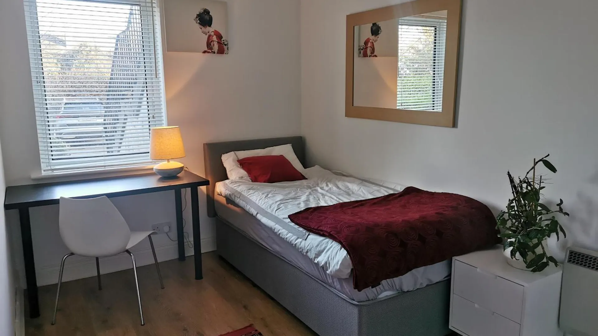 Single Room In Charming Apartment With The Terrace And The Cat In Sandymount Dublin Ubytování v soukromí